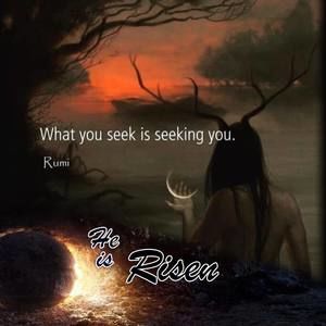 Meet your Posher, Mona